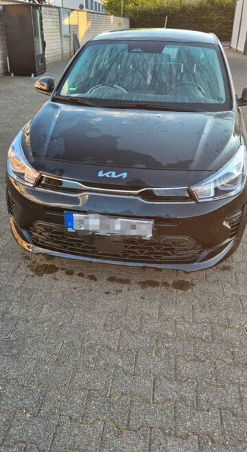 Gebrauchte Kia Rio